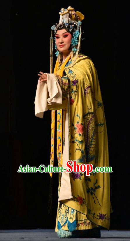 Chinese Jin Opera Royal Woman Garment Costumes and Headdress Wo Hu Ling Traditional Shanxi Opera Young Female Dress Princess Hu Yang Apparels