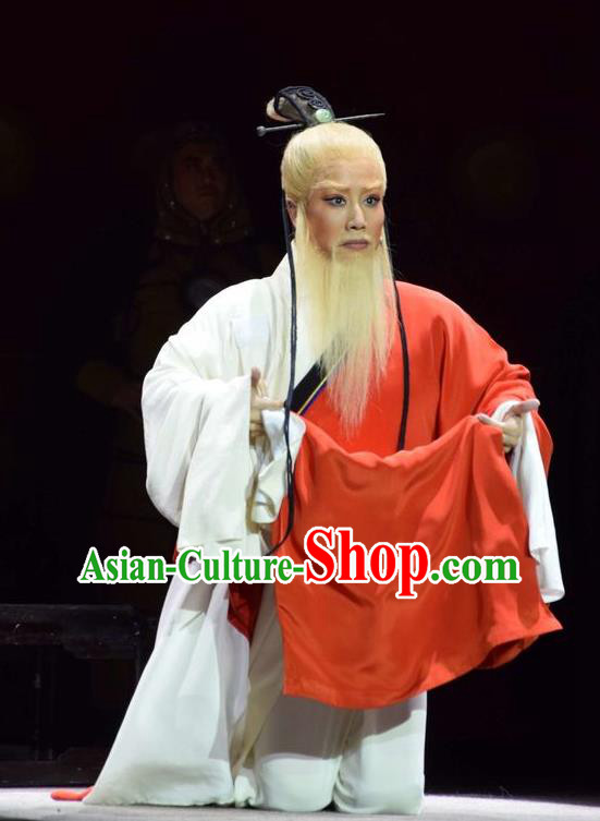 Fu Shan Jin Jing Chinese Shanxi Opera Scholar Apparels Costumes and Headpieces Traditional Jin Opera Laosheng Garment Elderly Taoist Clothing