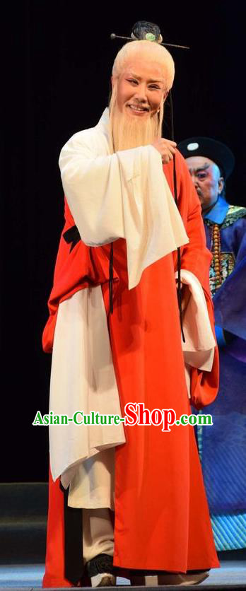 Fu Shan Jin Jing Chinese Shanxi Opera Scholar Apparels Costumes and Headpieces Traditional Jin Opera Laosheng Garment Elderly Taoist Clothing