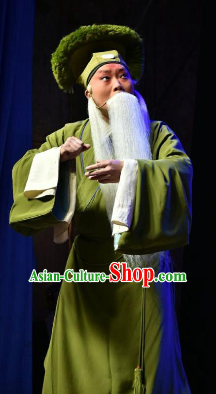Fifteen Strings of Cash Chinese Shanxi Opera Laosheng Apparels Costumes and Headpieces Traditional Jin Opera Garment Old Man Clothing