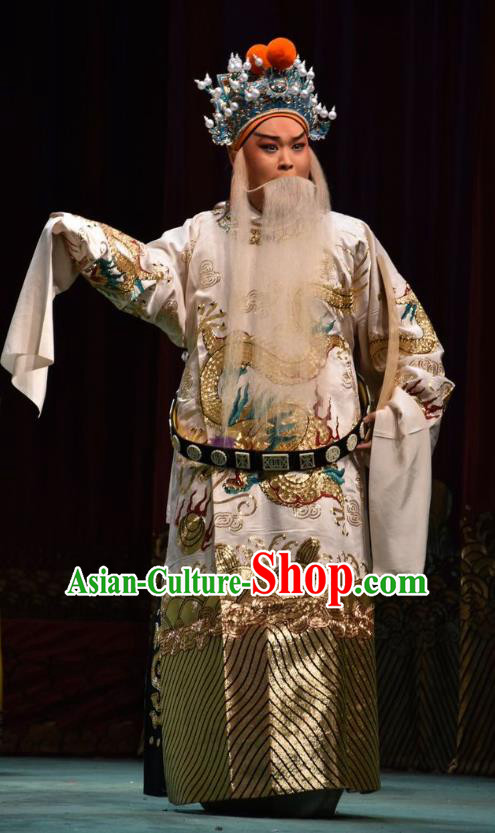 Jin Sha Tan Chinese Shanxi Opera Official Yang Jiye Apparels Costumes and Headpieces Traditional Jin Opera Laosheng Garment Elderly Male Clothing