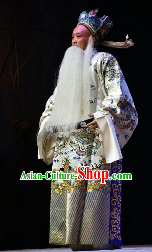 Fifteen Strings of Cash Chinese Shanxi Opera Laosheng Apparels Costumes and Headpieces Traditional Jin Opera Elderly Male Garment Old Official Clothing