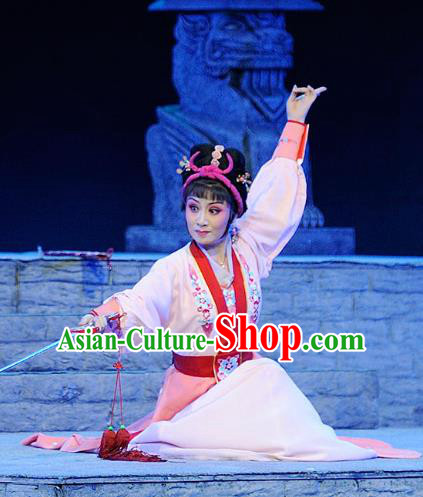 Chinese Jin Opera Female Swordsman Garment Costumes and Headdress Ba Ersi Yu Shi Traditional Shanxi Opera Young Lady Dress Wudan Apparels