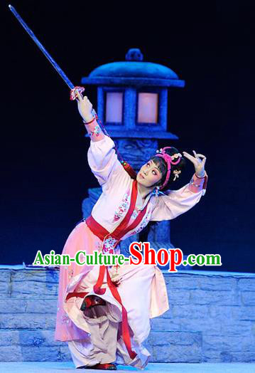 Chinese Jin Opera Female Swordsman Garment Costumes and Headdress Ba Ersi Yu Shi Traditional Shanxi Opera Young Lady Dress Wudan Apparels