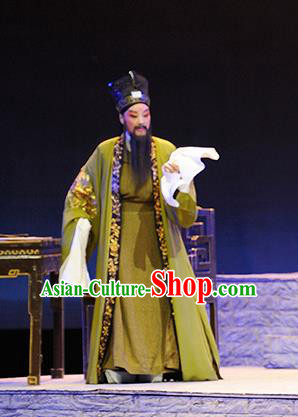 Ba Ersi Yu Shi Chinese Shanxi Opera Elderly Male Apparels Costumes and Headpieces Traditional Jin Opera Laosheng Garment Minister Yao Tianfu Clothing