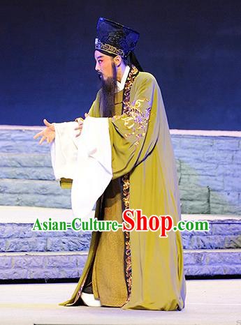 Ba Ersi Yu Shi Chinese Shanxi Opera Elderly Male Ahmed Apparels Costumes and Headpieces Traditional Jin Opera Laosheng Garment Minister Yao Tianfu Clothing