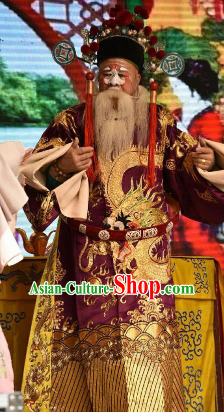 Chinese Shanxi Opera Treacherous Official He Ren Apparels Costumes and Headpieces Traditional Jin Opera Elderly Male Garment Minister Clothing