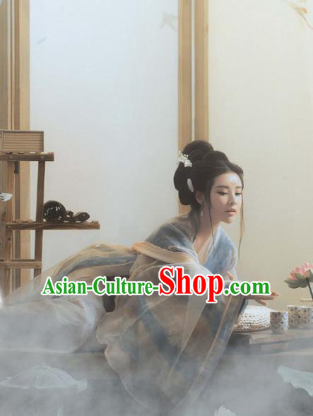 Chinese Traditional Apparels Tang Dynasty Palace Princess Historical Costumes Ancient Goddess Dance Hanfu Dress for Women
