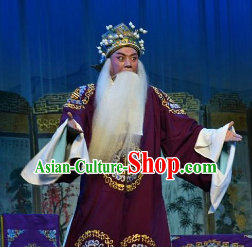 Mulan Joins the Army Chinese Shanxi Opera Landlord Hua Hu Apparels Costumes and Headpieces Traditional Jin Opera Laosheng Garment Ministry Councillor Clothing