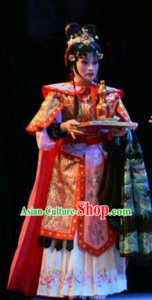 Chinese Jin Opera Woman Swordsman Garment Costumes and Headdress Fenyang King Traditional Shanxi Opera Martial Female Apparels Dress