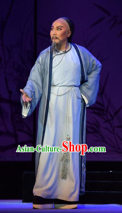 He Qing Hai Yan Chinese Shanxi Opera Elderly Male Apparels Costumes and Headpieces Traditional Jin Opera Garment Qing Dynasty Governor Li Yumei Clothing