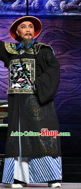 He Qing Hai Yan Chinese Shanxi Opera Qing Dynasty Governor Li Yumei Apparels Costumes and Headpieces Traditional Jin Opera Elderly Male Garment Official Clothing