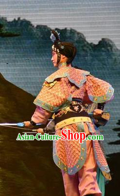 Chinese Jin Opera Wudan Garment Costumes and Headdress The Lotus Lantern Traditional Shanxi Opera Martial Lady Apparels Dress