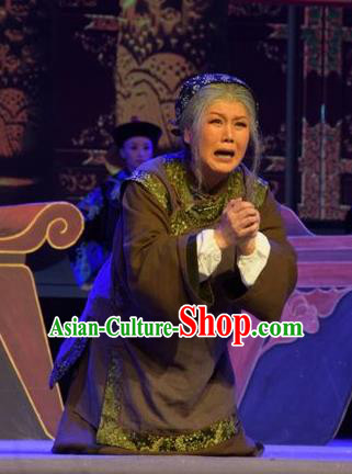 Chinese Jin Opera Country Woman Garment Costumes and Headdress Da Hu Ji Traditional Shanxi Opera Elderly Female Apparels Dame Dress