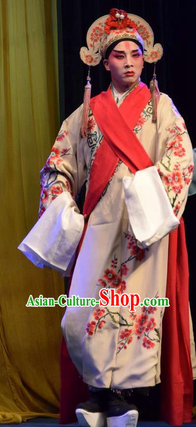 The Butterfly Chalice Chinese Shanxi Opera Niche Apparels Costumes and Headpieces Traditional Jin Opera Xiaosheng Garment Childe Tian Yuchuan Clothing