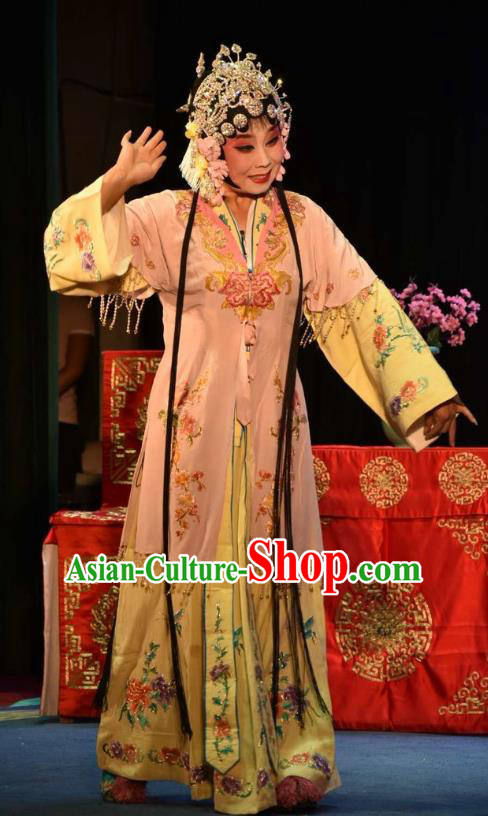Chinese Clapper Opera Rich Lady Garment Costumes and Headdress The Crimson Palm Traditional Bangzi Opera Hua Tan Apparels Actress Wang Qianjin Dress