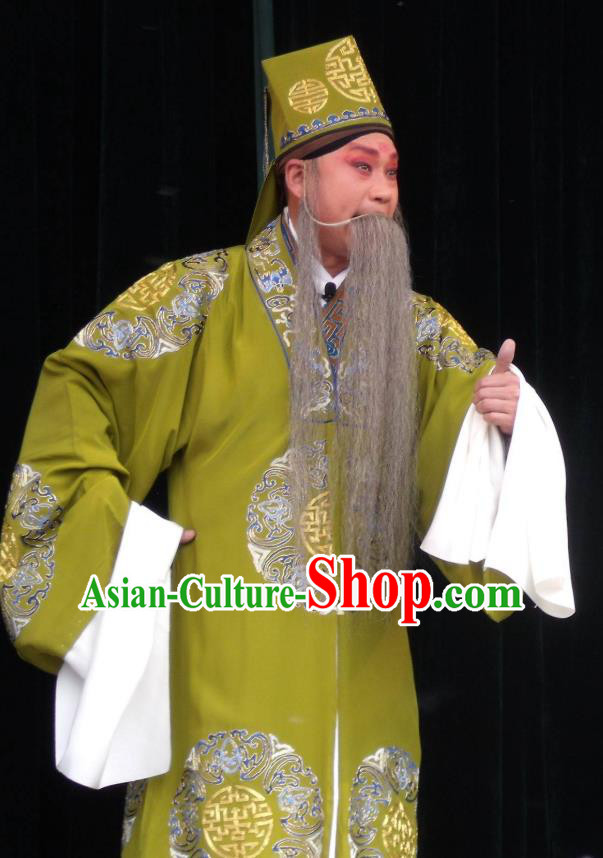 Feng Xue Pei Chinese Qu Opera Laosheng Gao Zan Apparels Costumes and Headpieces Traditional Henan Opera Landlord Garment Ministry Councillor Clothing