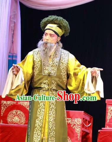 Zi Mei Yi Jia Chinese Lu Opera Laosheng Apparels Costumes and Headpieces Traditional Shandong Opera Landlord Garment Elderly Male Zhang Youwang Clothing