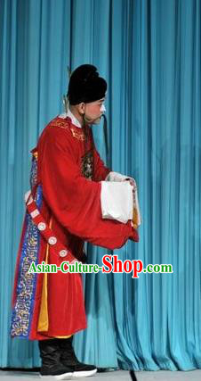 Forced Marriage Chinese Lu Opera Minister Apparels Costumes and Headpieces Traditional Shandong Opera Magistrate Garment Clown Clothing