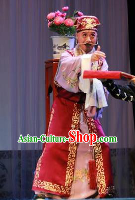 Forced Marriage Chinese Lu Opera Elderly Man Apparels Costumes and Headpieces Traditional Shandong Opera Clown Garment Adviser Clothing