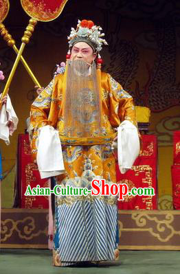 Jiu Ling Jiu Zhu Chinese Qu Opera Emperor Xuanzong Apparels Costumes and Headpieces Traditional Henan Opera Elderly Male Garment Monarch Li Longji Clothing
