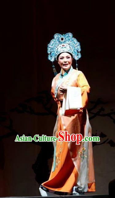 Chang Bai Han Ru Chinese Lu Opera Scholar Apparels Costumes and Headpieces Traditional Shandong Opera Niche Garment Xiaosheng Clothing