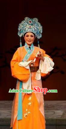 Chang Bai Han Ru Chinese Lu Opera Scholar Apparels Costumes and Headpieces Traditional Shandong Opera Niche Garment Xiaosheng Clothing