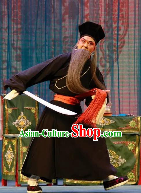 Long Feng Mian Chinese Lu Opera Old Servant Ding Kui Apparels Costumes and Headpieces Traditional Shandong Opera Laosheng Garment Elderly Male Clothing