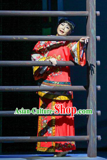 Chinese Han Opera Hua Tan Wedding Garment Shi Niang Costumes and Headdress Traditional Hubei Hanchu Opera Young Female Apparels Bride Red Dress