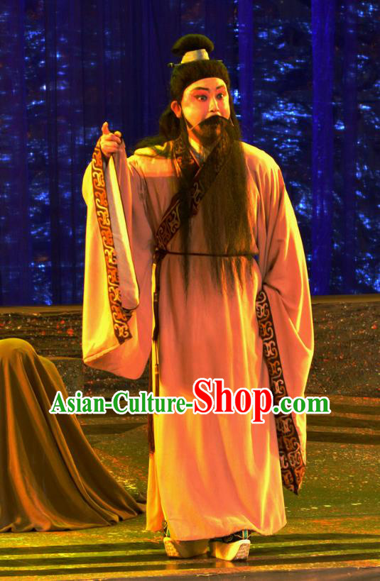 Butterfly Dream Chinese Hubei Hanchu Opera Laosheng Apparels Costumes and Headpieces Traditional Han Opera Elderly Male Garment Scholar Zhuang Zhou Clothing