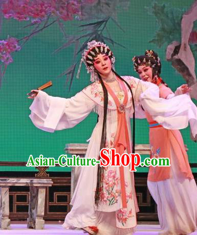 Chinese Cantonese Opera Rich Lady Garment The Peony Pavilion Costumes and Headdress Traditional Guangdong Opera Hua Tan Apparels Diva Du Liniang White Dress