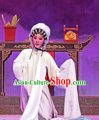 Chinese Cantonese Opera Tsing Yi Garment The Peony Pavilion Costumes and Headdress Traditional Guangdong Opera Distress Maiden Apparels Diva Du Liniang Dress
