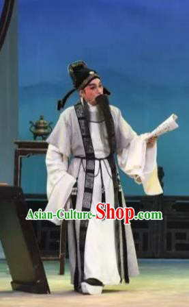 The Peony Pavilion Chinese Guangdong Opera Laosheng Apparels Costumes and Headpieces Traditional Cantonese Opera Elderly Male Garment Prefecture Du Bao Clothing
