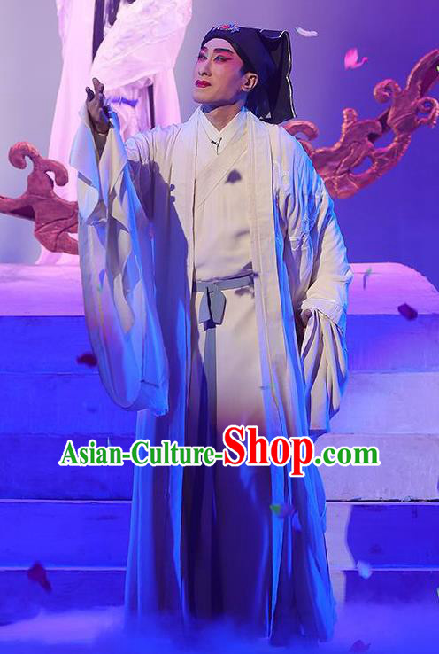 The Fairy Tale of White Snake Chinese Guangdong Opera Xiaosheng Apparels Costumes and Headpieces Traditional Cantonese Opera Xu Xian Garment Young Male Clothing