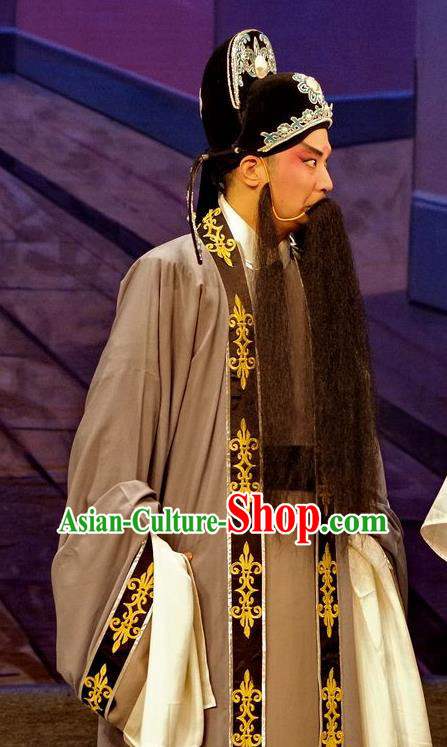 Qian Tang Su Xiaoxiao Chinese Guangdong Opera Ruan Shaoye Apparels Costumes and Headpieces Traditional Cantonese Opera Elderly Male Garment Laosheng Clothing