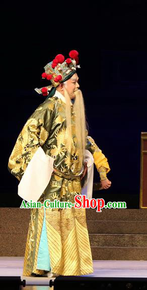 Legend of Lun Wenxu Chinese Guangdong Opera Official Apparels Costumes and Headpieces Traditional Cantonese Opera Laosheng Garment Elderly Male Clothing