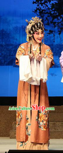 Chinese Cantonese Opera Hua Tan Garment Legend of Lun Wenxu Costumes and Headdress Traditional Guangdong Opera Actress Apparels Rich Lady Dress