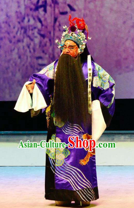 Hua Jian Ji Chinese Guangdong Opera General Apparels Costumes and Headpieces Traditional Cantonese Opera Jing Garment Elderly Male Clothing