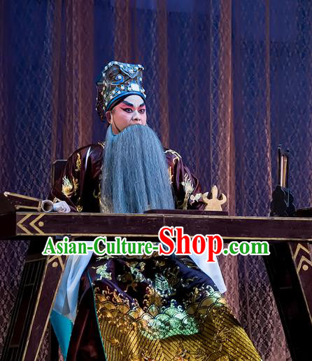 The Romance of Hairpin Chinese Guangdong Opera Prime Minister Wan Si Apparels Costumes and Headpieces Traditional Cantonese Opera Lsheng Garment Elderly Male Clothing