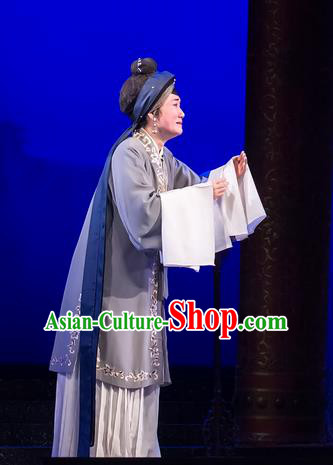 Chinese Cantonese Opera Pantaloon Garment The Romance of Hairpin Costumes and Headdress Traditional Guangdong Opera Laodan Apparels Dame Grey Dress
