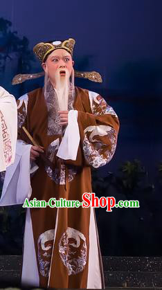 The Romance of Hairpin Chinese Guangdong Opera Elderly Male Apparels Costumes and Headpieces Traditional Cantonese Opera Laosheng Garment Old Gentleman Clothing