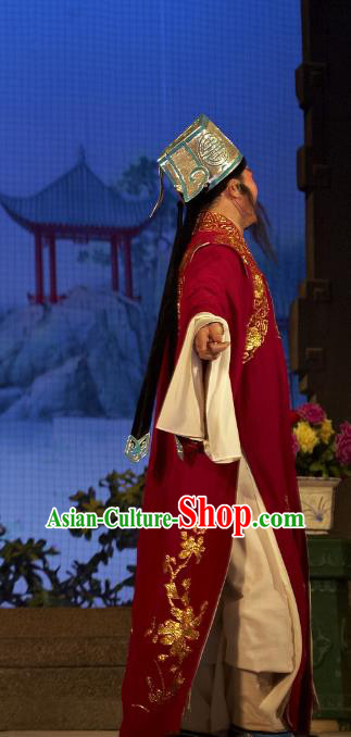 Legend of Lun Wenxu Chinese Guangdong Opera Ministry Councillor Apparels Costumes and Headpieces Traditional Cantonese Opera Laosheng Garment Landlord Clothing