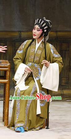 Chinese Cantonese Opera Middle Age Woman Garment Liu Yi Delivers A Letter Costumes and Headdress Traditional Guangdong Opera Dame Apparels Rani Dress
