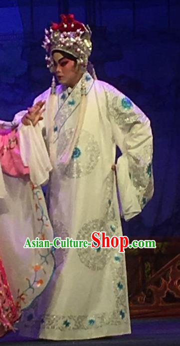 Story of the Violet Hairpin Chinese Guangdong Opera XIaosheng Apparels Costumes and Headpieces Traditional Cantonese Opera Li Yi Garment Gifted Scholar Clothing