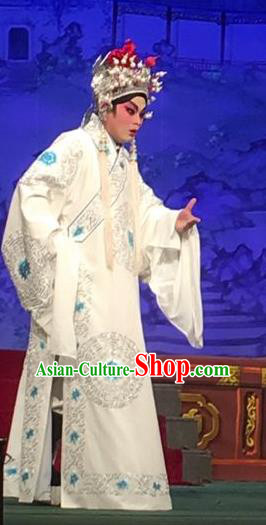 Story of the Violet Hairpin Chinese Guangdong Opera XIaosheng Apparels Costumes and Headpieces Traditional Cantonese Opera Li Yi Garment Gifted Scholar Clothing