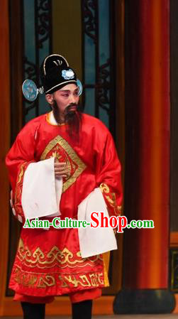 Chinese Guangdong Opera Magistrate Apparels Costumes and Headpieces Traditional Cantonese Opera Official Garment Clown Clothing