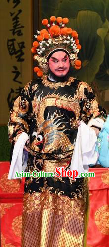 Chinese Guangdong Opera Imperial Envoy Cao Zibin Apparels Costumes and Headpieces Traditional Cantonese Opera Elderly Male Garment Official Clothing