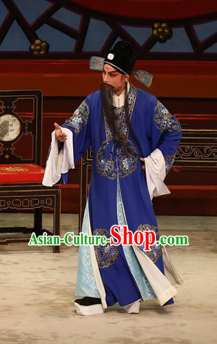 The Lotus Lantern Chinese Guangdong Opera Laosheng Apparels Costumes and Headpieces Traditional Cantonese Opera Elderly Male Garment Liu Yanchang Clothing