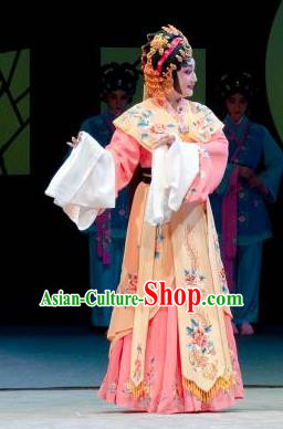 Chinese Cantonese Opera Actress Garment Search the College Costumes and Headdress Traditional Guangdong Opera Young Female Apparels Hua Tan Dress