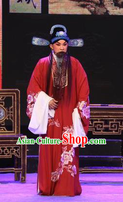 The Lotus Lantern Chinese Guangdong Opera Elderly Male Apparels Costumes and Headpieces Traditional Cantonese Opera Garment Laosheng Liu Yanchang Clothing
